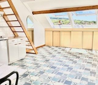  Duplex/triplex � louer 1 pi�ce 29 m�