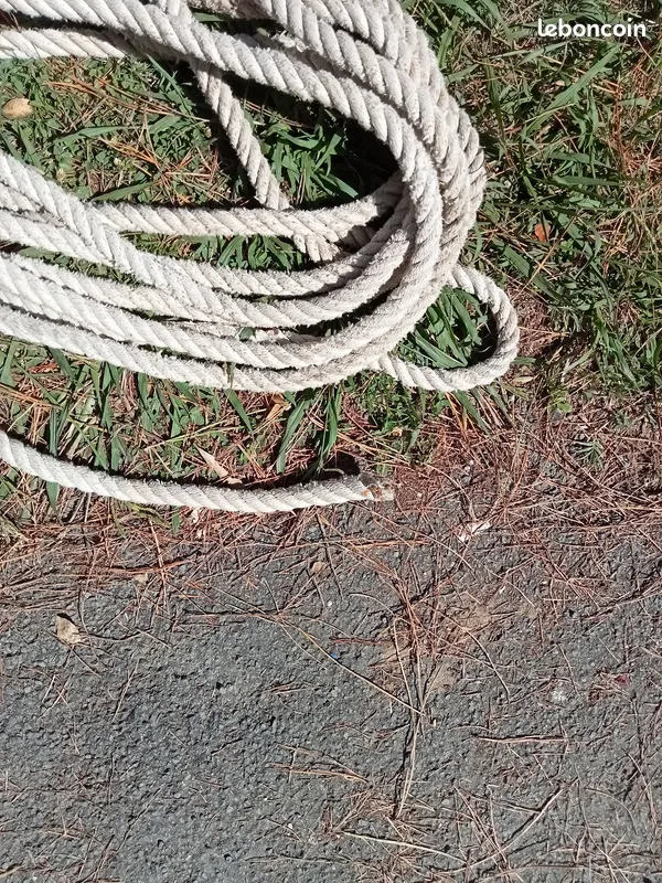 Bateaux &agrave; moteur P&ecirc;che-promenade 2000 occasion Odos 65310