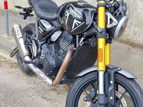 Moto TRIUMPH 2024 occasion Carry-le-Rouet 13620