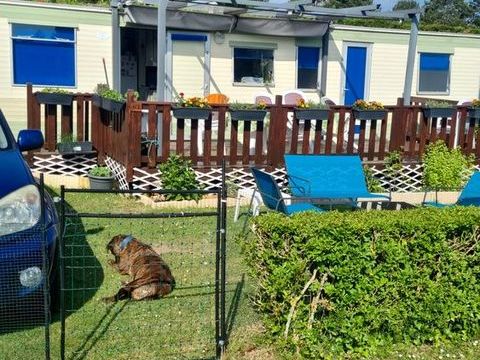 Mobil-Home Mobil-Home 2005 occasion Auberville 14640