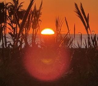 Location  Appartement 