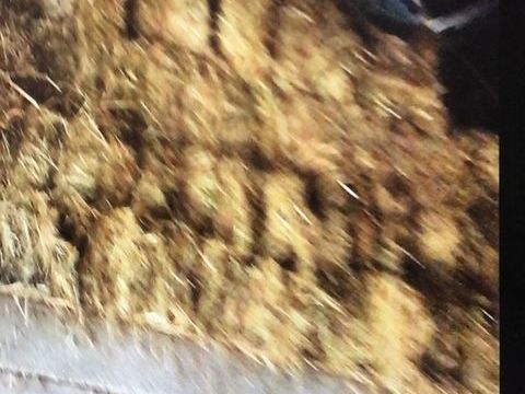 FOIN 2025 PETITES BOTTES
Proche de BROMONT LAMOTHE 3 63230 Bromont-lamothe