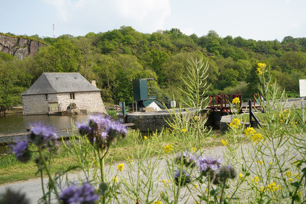 Terrains � batir   Guichen (35580)