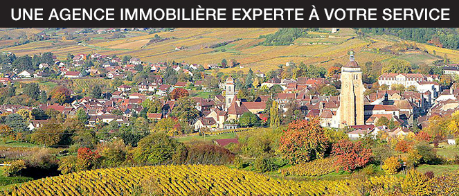 Agence APS JURA IMMOBILIER Arbois