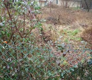  Terrain � vendre 520 m�