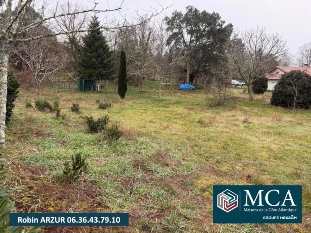 Maisons neuves   L�vignacq (40170)