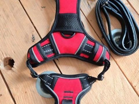 Harnais chien taille S NEUF 10 59200 Tourcoing