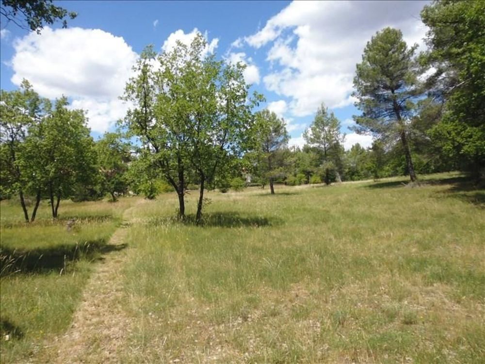   Saint-Loub�s (33450)