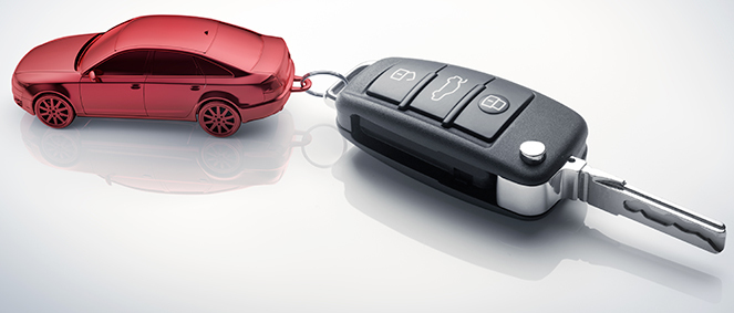 MISTER OCCAZ, concessionnaire 59