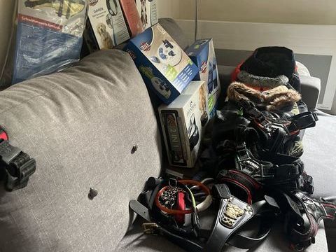 d'occasion divers articles chien Staffy 200 92140 Clamart