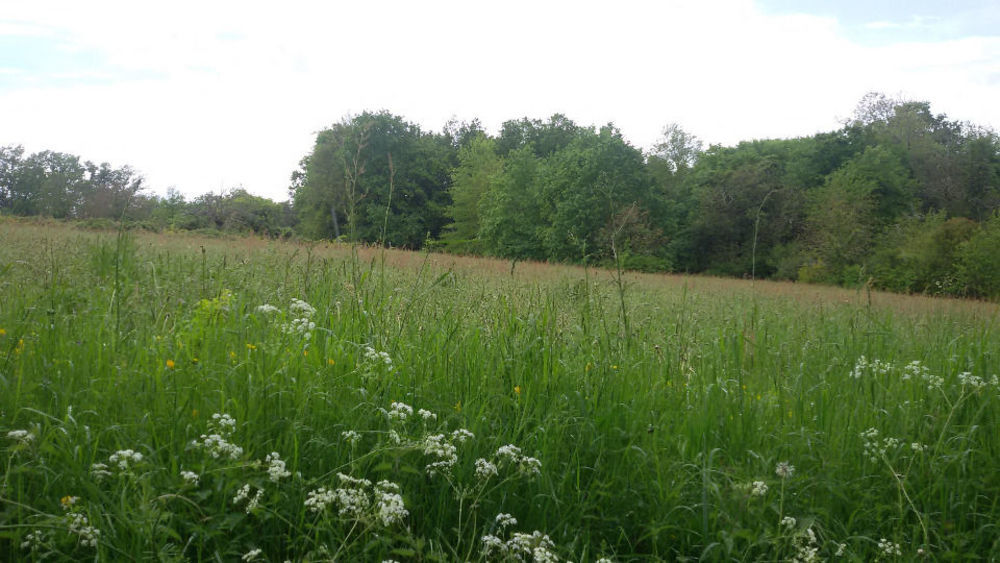 Terrains � batir   Saint-Jean-d'Ataux (24190)