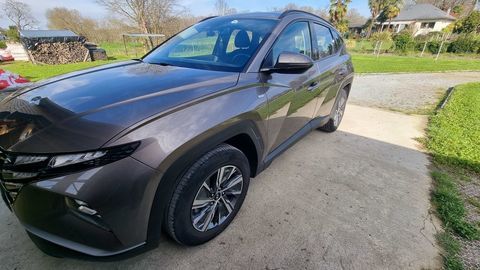 Hyundai Tucson 1.6 T-GDI 150 Hybrid 48V iBVM Intuitive 2022 occasion Morla&agrave;s 64160