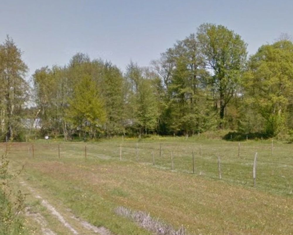 Maisons neuves   Eyrans (33390)