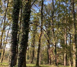  Terrain � vendre 12500 m�