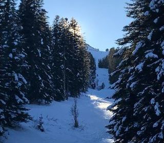  Chalet � vendre 5 pi�ces 104 m�