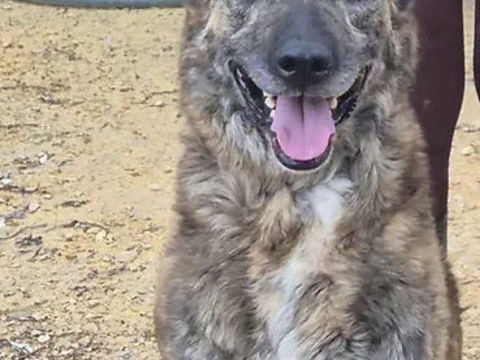 Charly  230 26700 Pierrelatte