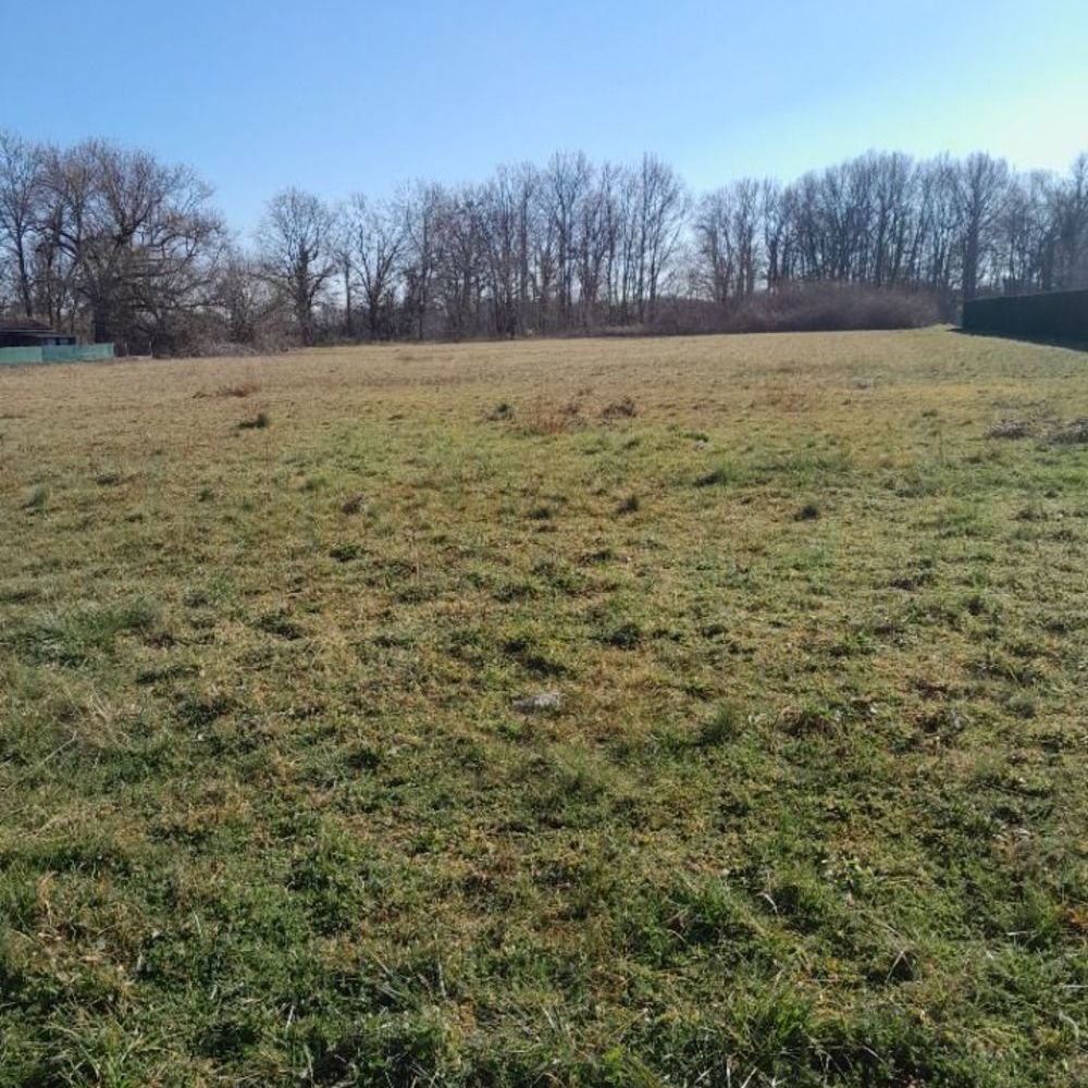 Maisons neuves   Pessac (33600)