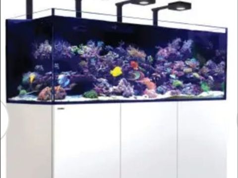 aquarium NEUF encore emball&eacute; 5000 60240 Courcelles-l�s-gisors