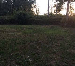  Maison � louer 11 pi�ces 230 m�