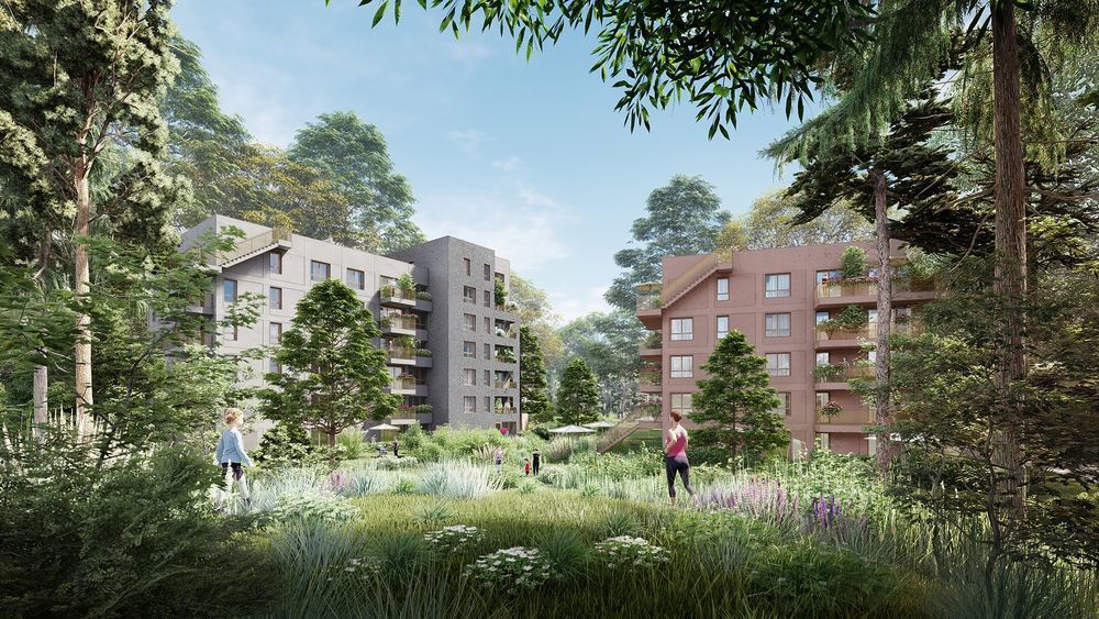 Appartements neufs   Massy (91300)