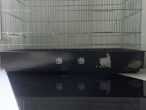 Cage oiseaux 25 63000 Clermont-ferrand