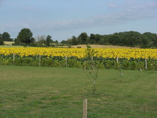  Terrain � vendre 2286 m�