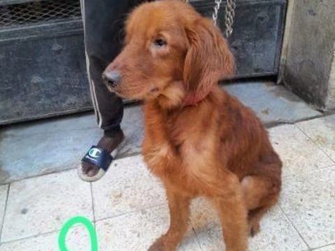 DEVENIR DELEGUE (e) EN REGION 0 62130 Beauvois