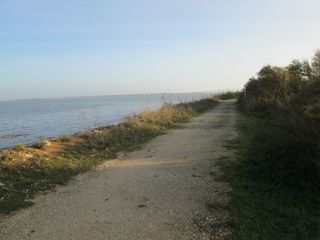  Terrain � vendre 51271 m�