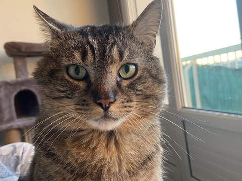 Noa 190 44000 Nantes