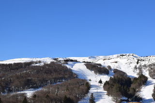 Location  Appartement 