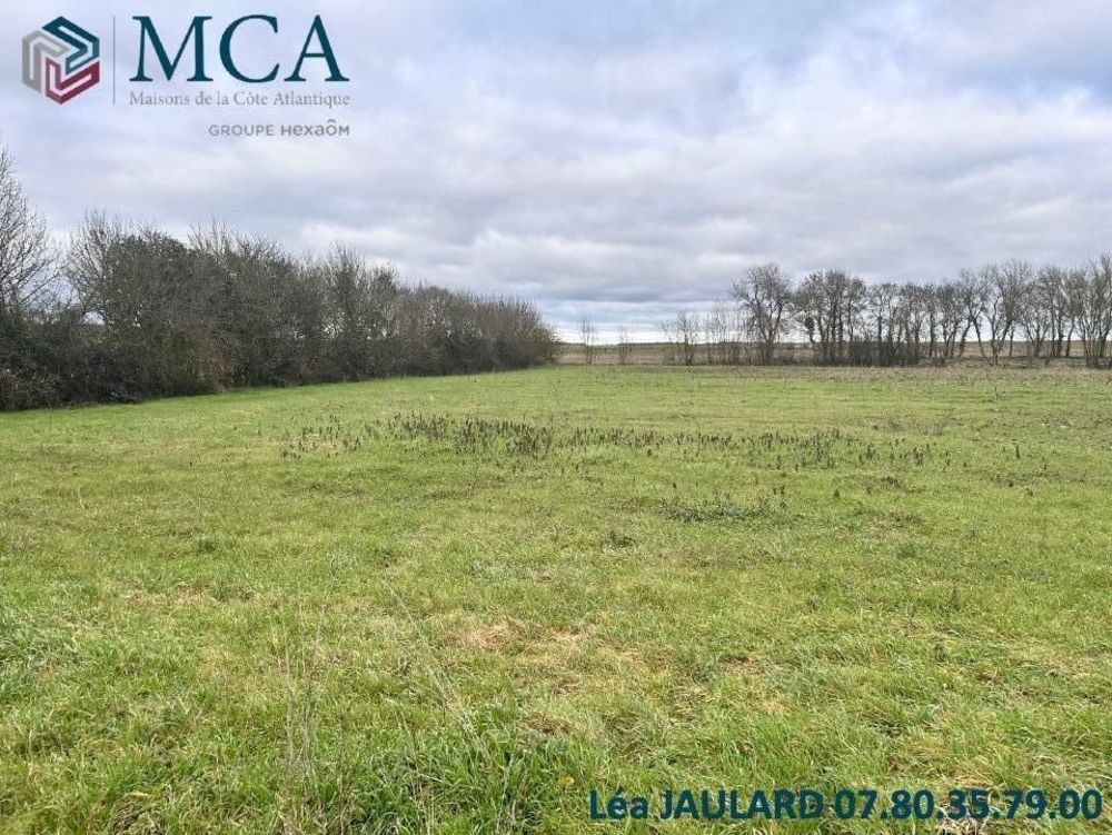   Saint-Georges-du-Bois (17700)