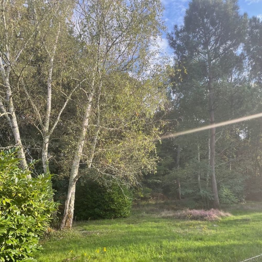   Saint-Aubin-de-M�doc (33160)