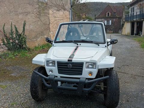 GLAMIS Quad 2016 occasion Ambeyrac 12260