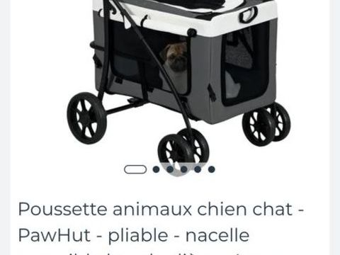 Poussette pour animaux domestiques 70 45120 Ch�lette-sur-loing