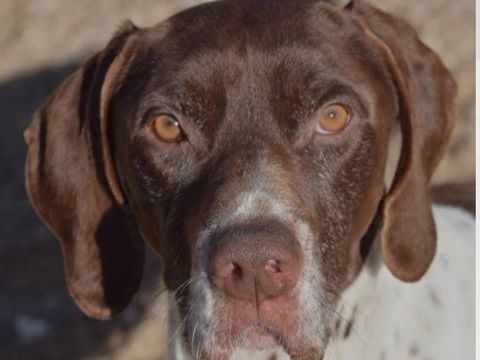 CACHOPO 300 27620 Gasny