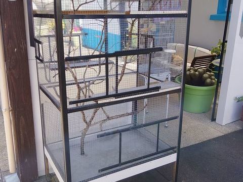 Cage 80 44450 Saint-julien-de-concelles