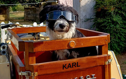 Pi&egrave;ces et &eacute;quipements Moto - Scooter - Quad Pi&egrave;ces et &eacute;quipements Moto - Scooter - Quad  occasion Redessan 30129