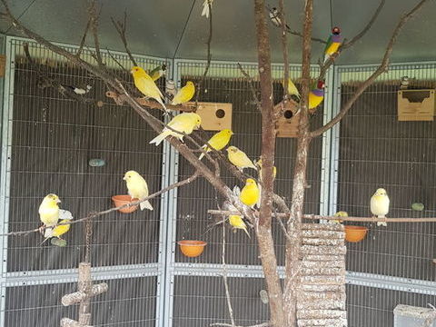Canaris 15 86000 Poitiers