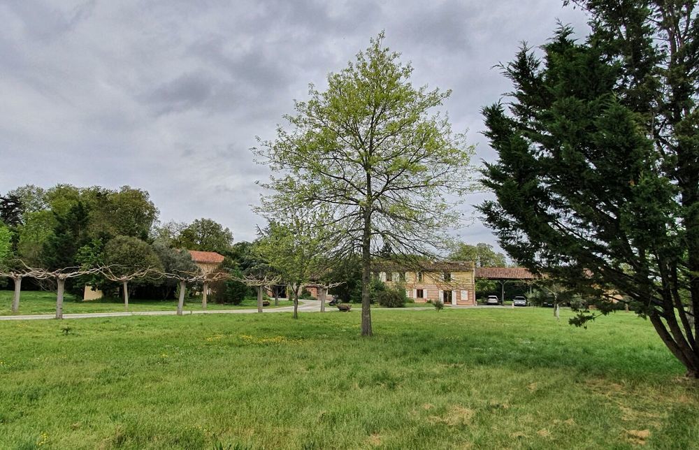 � vendre  Maison Peyssies (31390)