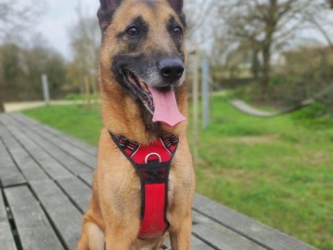 Digo (Indigo) 70 35000 Rennes