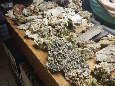 d&eacute;ccord aquarium 0 67500 Haguenau