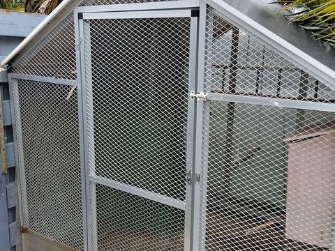 2 couples d omnicolore et un couple de turquoisine 1200 85150 Saint-mathurin