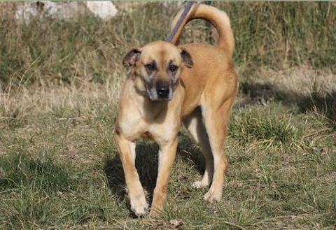 Dixie 230 26700 Pierrelatte