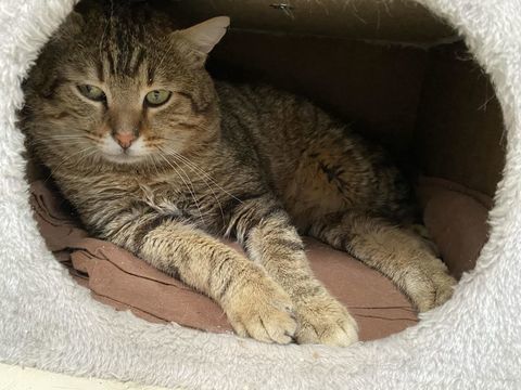 ROMEO 200 26700 Pierrelatte