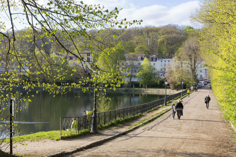 Appartements neufs   Ville-d'Avray (92410)