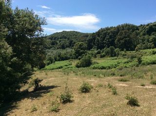  Terrain � vendre 16000 m�