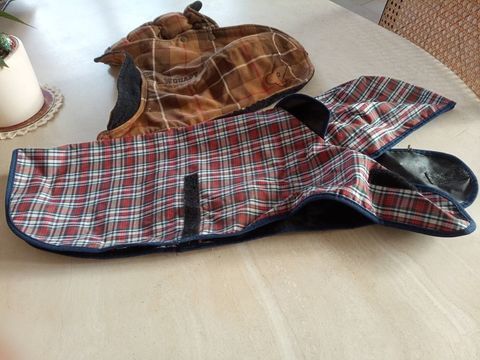 MANTEAUX petit chien 5 35730 Pleurtuit