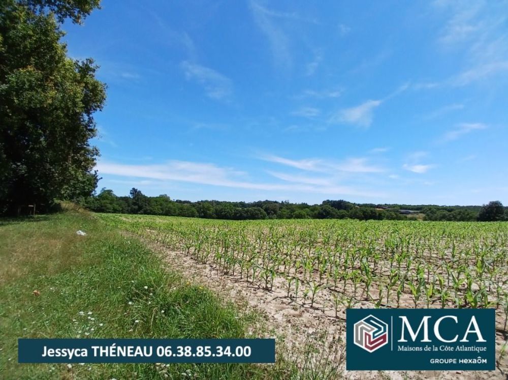 Maisons neuves   Mugron (40250)