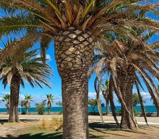 Location  Appartement 