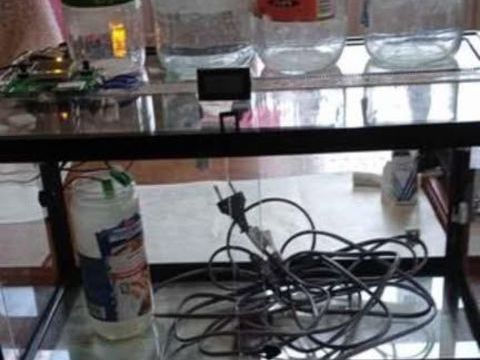 petit terraium &eacute;quip&eacute; en eleveuse 50 59124 Escaudain